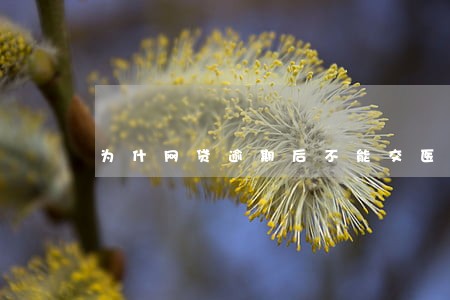 为什网贷逾期后不能交医保 为什网贷逾期后不能交医保
