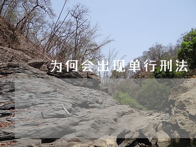 为何会出现单行刑法 为何会出现单行刑法