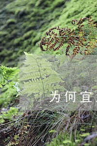 为何宜人财富逾期为0