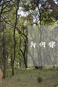 为何律师要履行保密义务 为何律师要履行保密义务