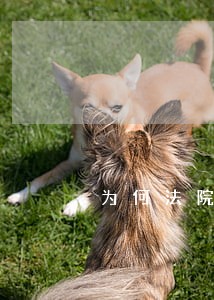 为何法院仍判其违约 为何法院仍判其违约