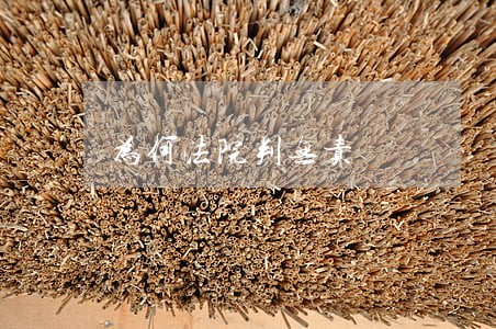为何法院判无责 为何法院判无责