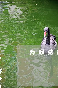 为何法院起诉状都过了两个月了 为何法院起诉状都过了两个月了