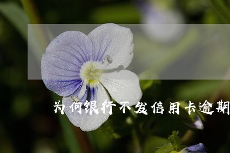 为何银行不发信用卡逾期短信 为何银行不发信用卡逾期短信