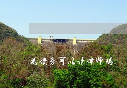 为债务可以请律师吗 为债务可以请律师吗