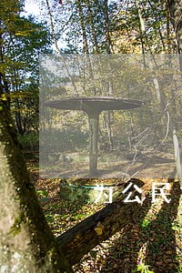 为公民提供法律援助 为公民提供法律援助