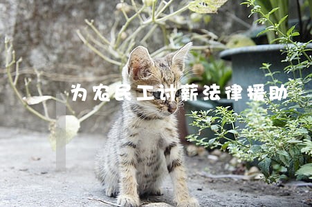 为农民工讨薪法律援助