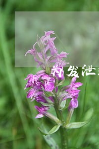 为发泄违法骑行 为发泄违法骑行