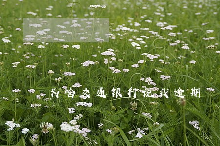 为啥交通银行说我逾期 为啥交通银行说我逾期