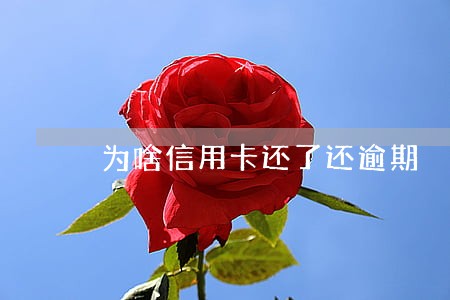 为啥信用卡还了还逾期 为啥信用卡还了还逾期