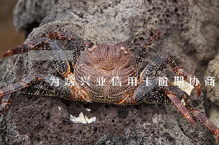 为啥兴业信用卡逾期协商不停息 为啥兴业信用卡逾期协商不停息