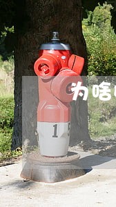 为啥嫖娼卖淫是违法