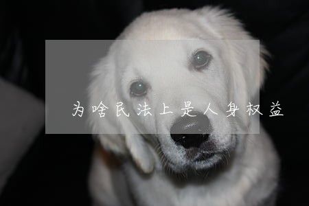 为啥民法上是人身权益 为啥民法上是人身权益