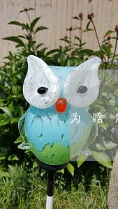 为啥没有逾期信用会低 为啥没有逾期信用会低