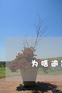 为啥逾期了网贷还可以借 为啥逾期了网贷还可以借