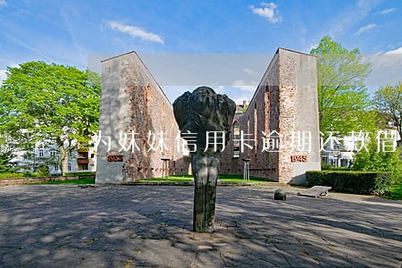 为妹妹信用卡逾期还款借贷款 为妹妹信用卡逾期还款借贷款
