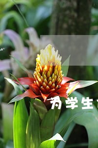 为学生休息时间立法 为学生休息时间立法