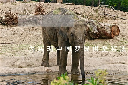 为实现中国梦提供坚实法制保障 为实现中国梦提供坚实法制保障