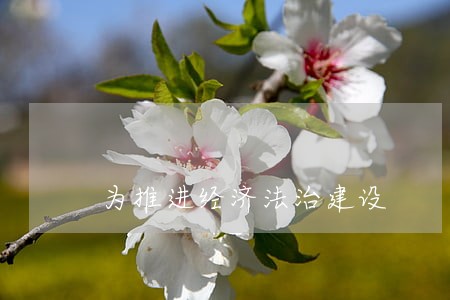 为推进经济法治建设 为推进经济法治建设