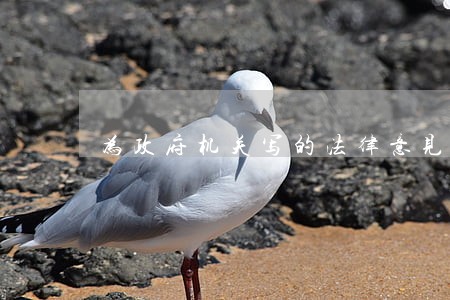 为政府机关写的法律意见书 为政府机关写的法律意见书