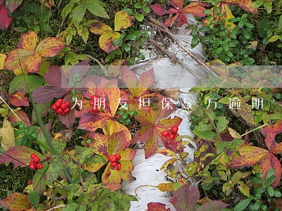 为朋友担保5万逾期 为朋友担保5万逾期