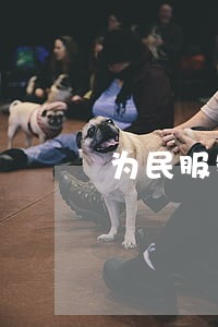 为民服务大厅法律咨询