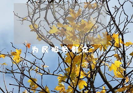 为民服务群众 为民服务群众