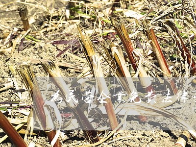 为民营企业免费法律咨询 为民营企业免费法律咨询