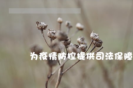 为疫情防控提供司法保障