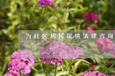 为社区居民提供法律咨询 为社区居民提供法律咨询