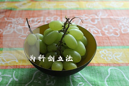 为科创立法 为科创立法