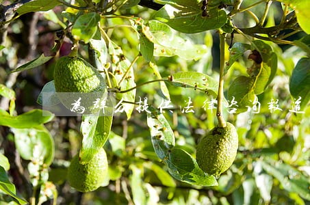 为群众提供法律咨询报道 为群众提供法律咨询报道
