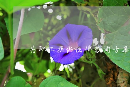为职工提供法律咨询方案 为职工提供法律咨询方案
