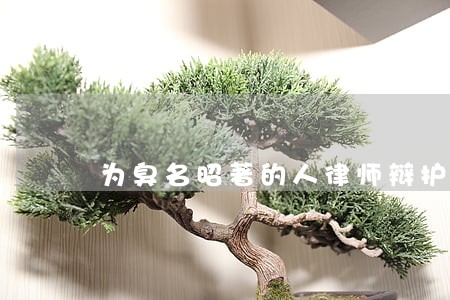 为臭名昭著的人律师辩护 为臭名昭著的人律师辩护