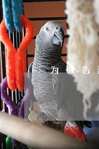 为被告辩护的律师开场白 为被告辩护的律师开场白