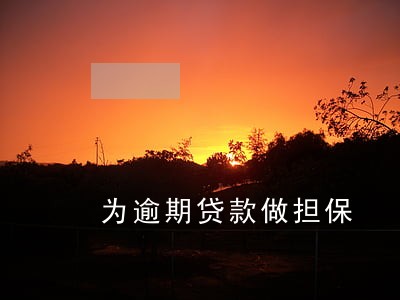 为逾期贷款做担保 为逾期贷款做担保