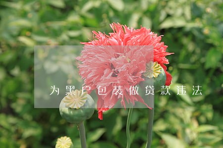 为黑户包装做贷款违法 为黑户包装做贷款违法