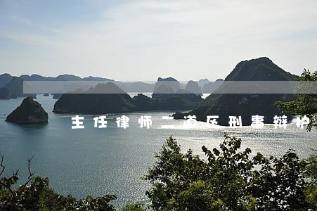 主任律师二道区刑事辩护在线律师 主任律师二道区刑事辩护在线律师