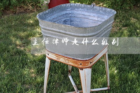 主任律师是什么级别 主任律师是什么级别