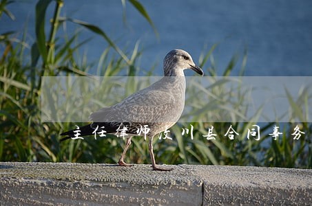 主任律师汶川县合同事务在线律师 主任律师汶川县合同事务在线律师
