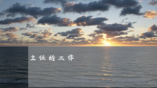 主任的工作 主任的工作