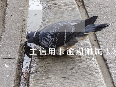主信用卡逾期附属卡还款 主信用卡逾期附属卡还款