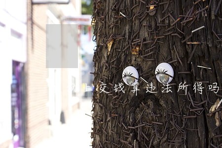 主动上交钱算违法所得吗 主动上交钱算违法所得吗