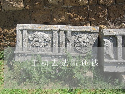 主动去法院还钱 主动去法院还钱