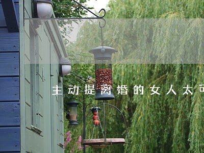 主动提离婚的女人太可怕 主动提离婚的女人太可怕