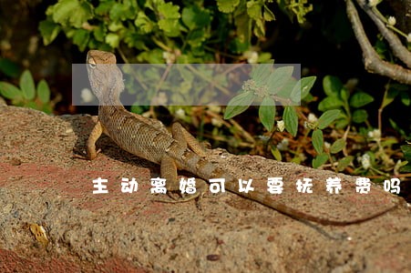 主动离婚可以要抚养费吗 主动离婚可以要抚养费吗