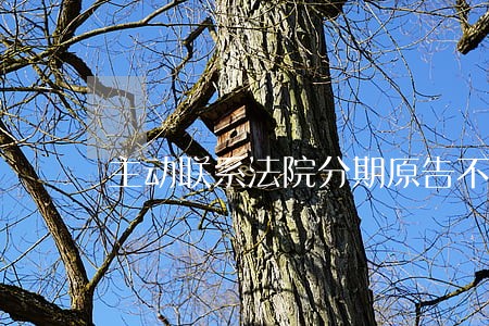 主动联系法院分期原告不同意 主动联系法院分期原告不同意