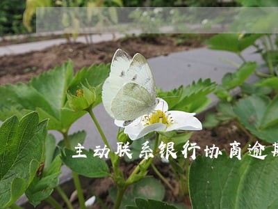 主动联系银行协商逾期