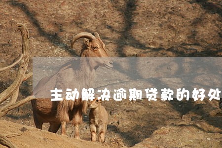 主动解决逾期贷款的好处 主动解决逾期贷款的好处
