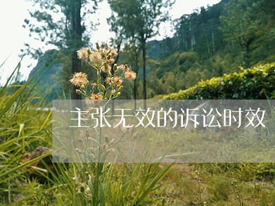 主张无效的诉讼时效 主张无效的诉讼时效